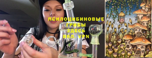 крисы Абинск