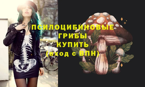 МДПВ Абдулино