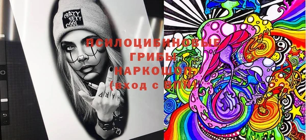 прущие грибы Алексеевка