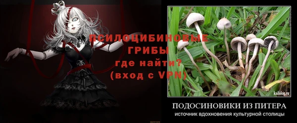 крисы Абинск